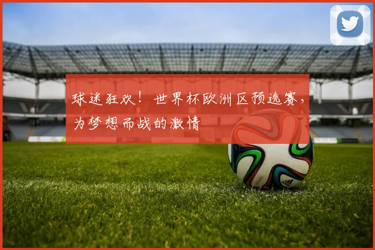 球迷狂欢！世界杯欧洲区预选赛，为梦想而战的激情